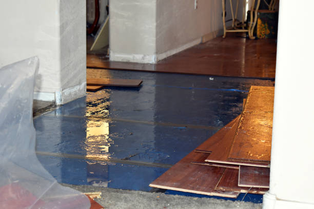 Professional Sewage Cleanup technician working in Plano, KY